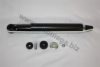 AUTOMEGA 3104360276 Shock Absorber